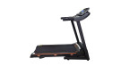 Беговая дорожка электрическая ROYAL Fitness RF-6